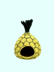 Pineapple Design Cat Cave