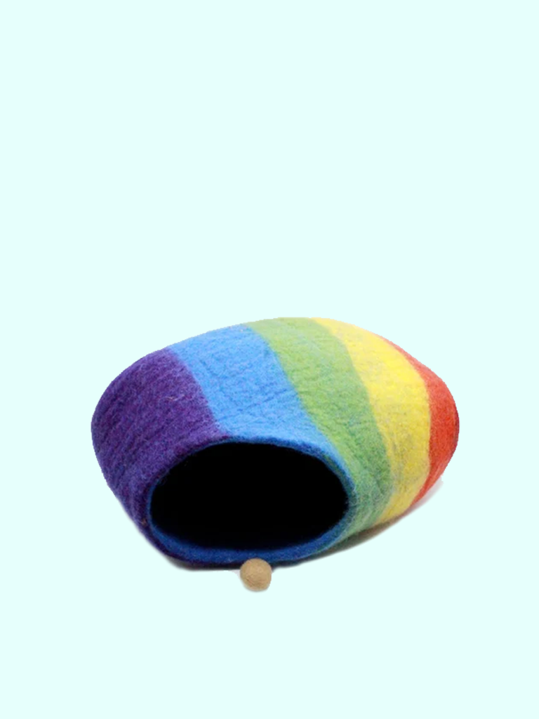 Rainbow Cat Cave And Christmas Shoe 2