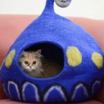 Blue Cat Cave With Charming Design