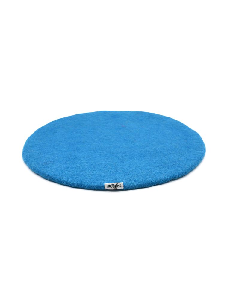 Round Blue Disk Chair Pad.jpg