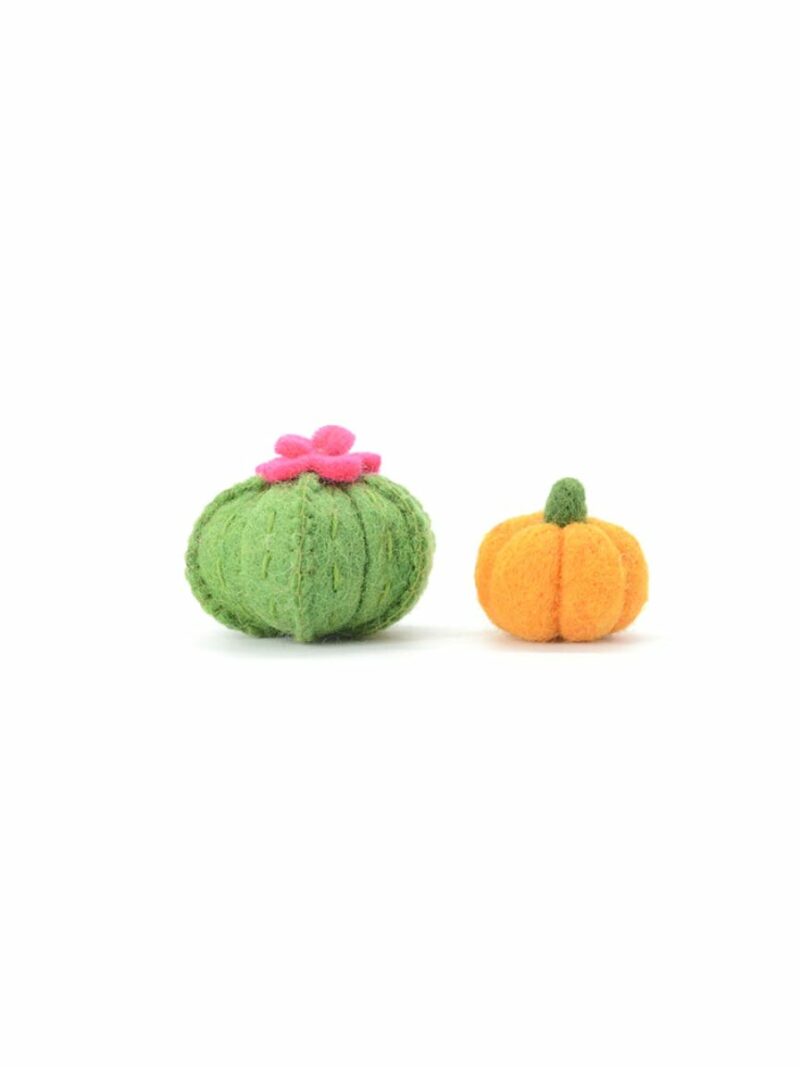 Green Felt Cactus And Pumpkin.jpg
