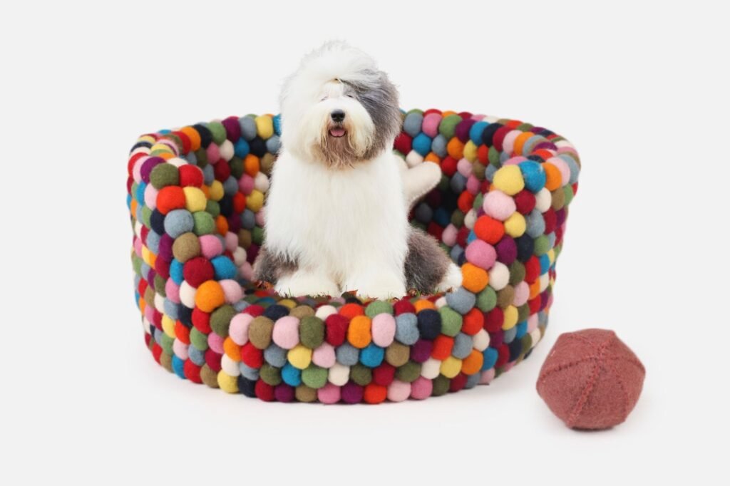 multicolor-felt-dog-bed 