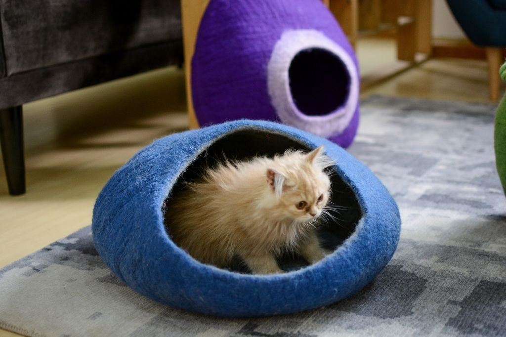 big opening cat cave 