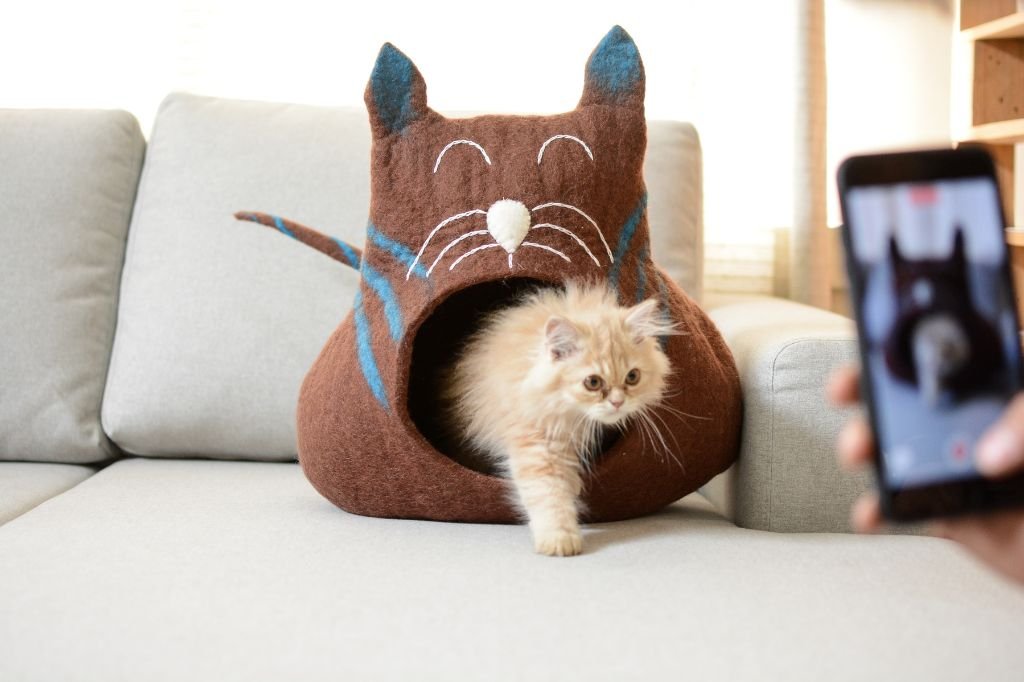 felt wool cat cave in color brown