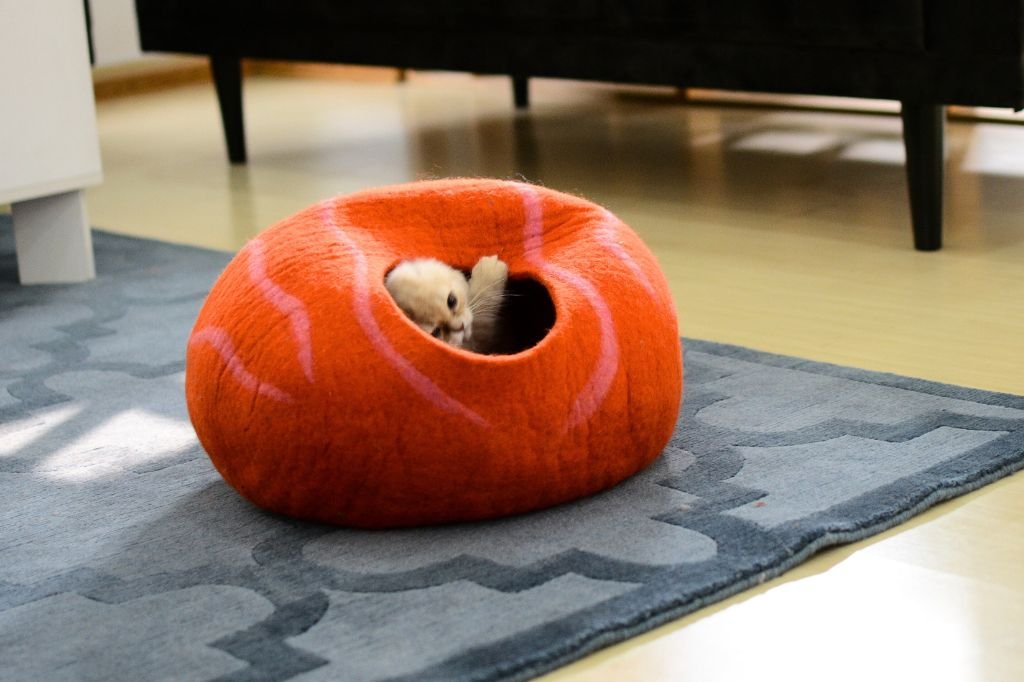 wool felt oranage cat bed