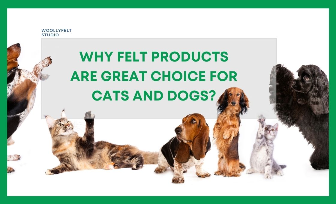 Why Felt Products are Great Choice for Cats and Dogs
