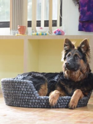 felt wool dog bed