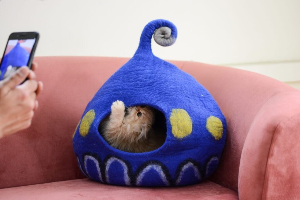 blur wool cat bed