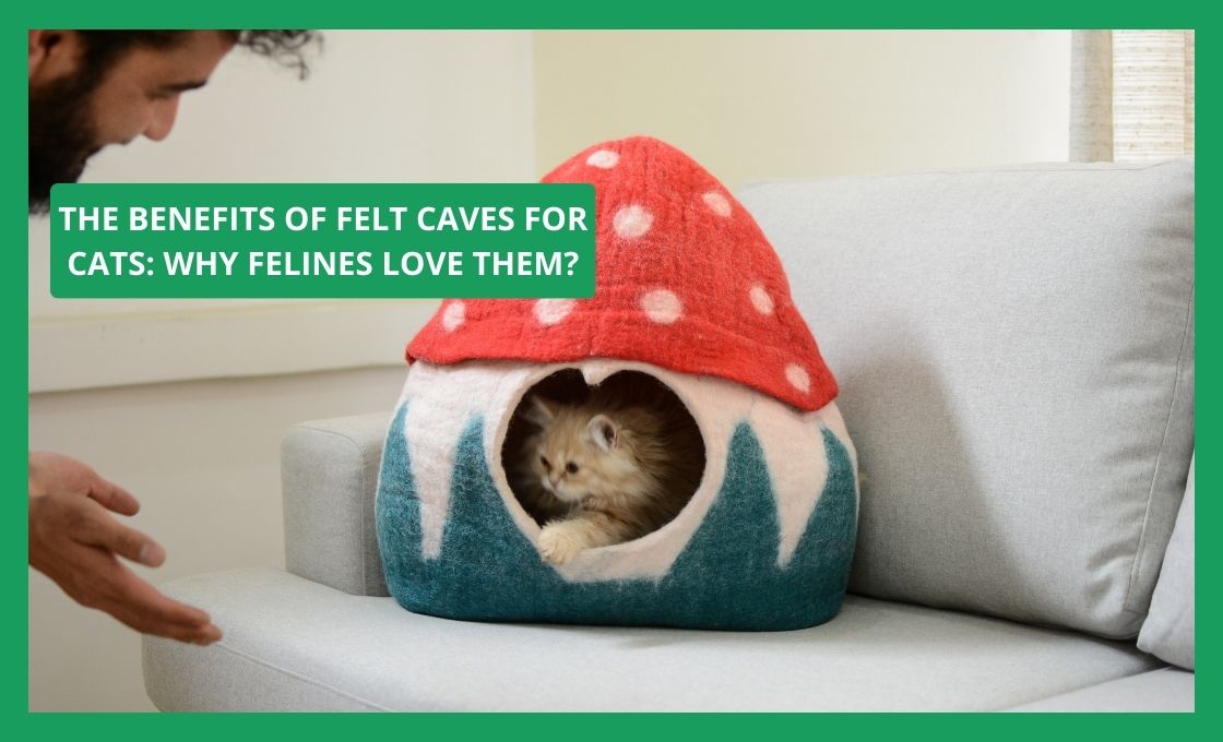 The Benefits of Felt Caves for Cats: Why Felines Love Them?