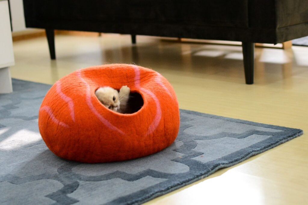 orange stripe cat bed