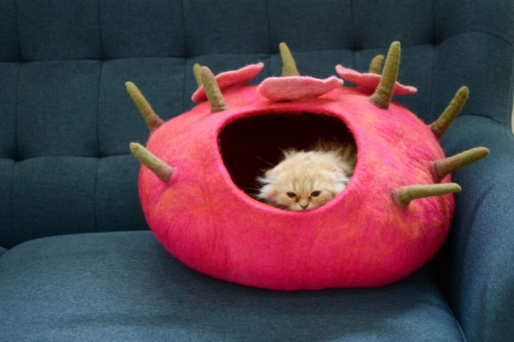 pink toadstool cat cave