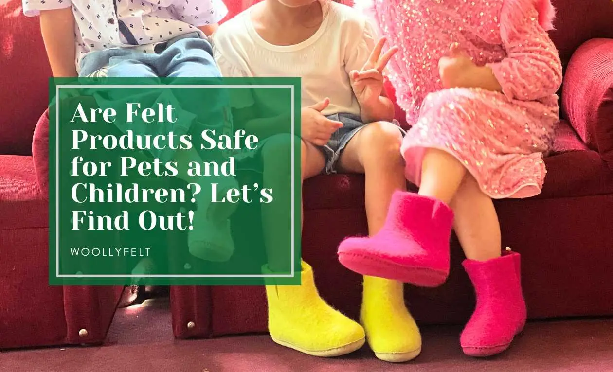 Are Felt Products Safe for Pets and Children? Let’s Find Out!