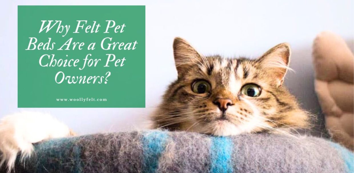 Why Felt Cat Pet Beds Are a Great Choice for Pet Owners