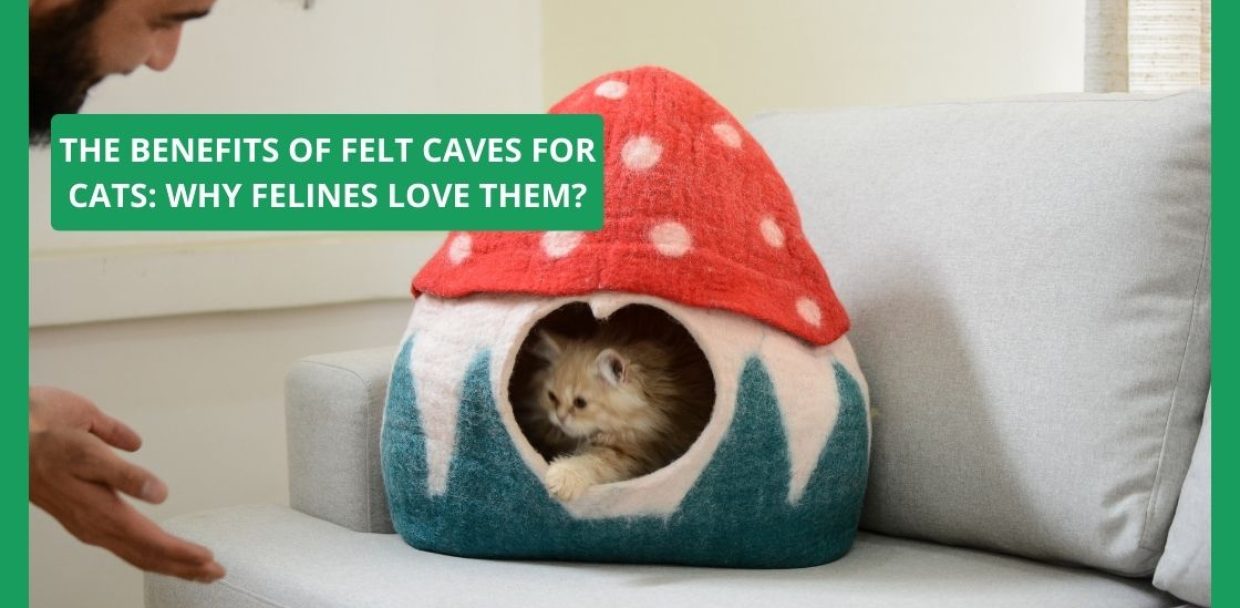 The Benefits of Felt Caves for Cats: Why Felines Love Them?