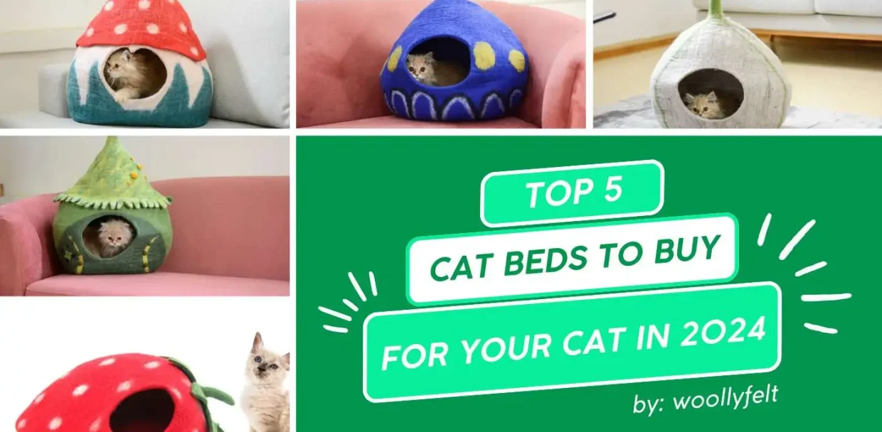 top 5 cat bed to buy for you cat in 2024